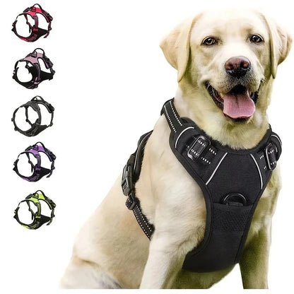 Dog Collars Harness Big Vests Leash Pet Shop Everything for Dogs Leather Puppy Accessories Medium Small Set Brinira