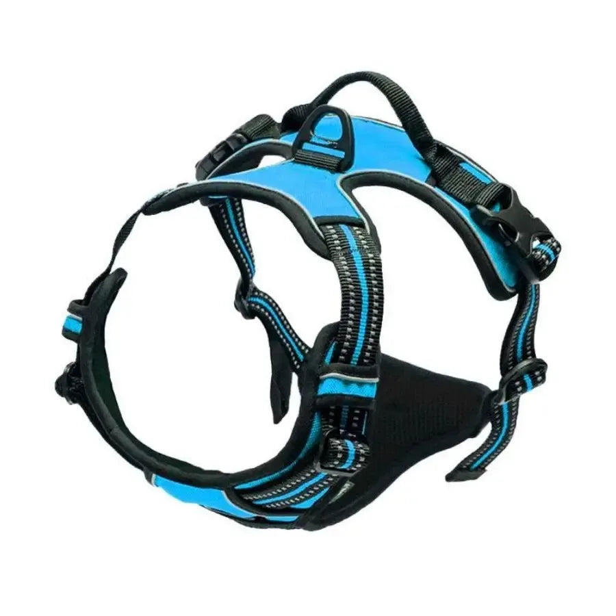Dog Collars Harness Big Vests Leash Pet Shop Everything for Dogs Leather Puppy Accessories Medium Small Set Brinira