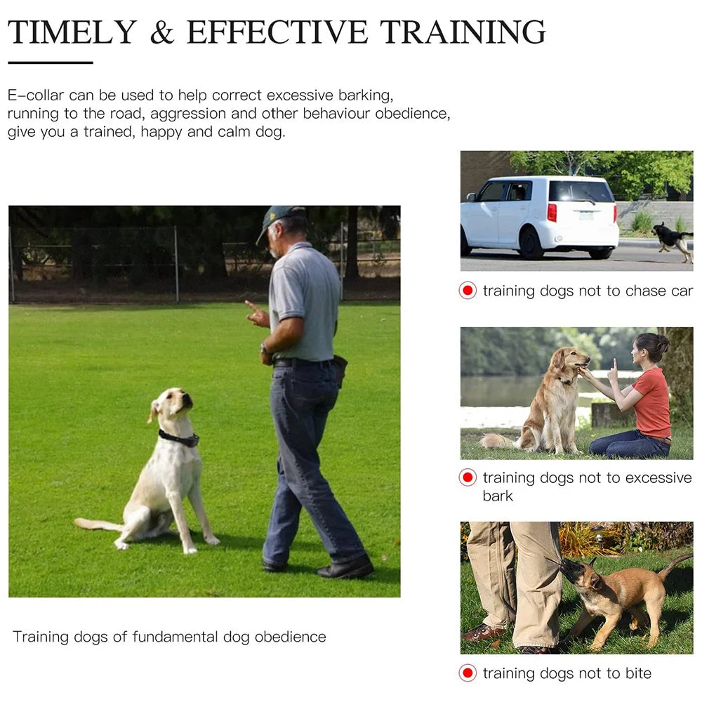 800m Digital Dog Training Collar Waterproof Rechargeable Remote Control Pet with LCD Display for All Size Shock Vibration Sound Brinira