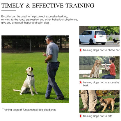 800m Digital Dog Training Collar Waterproof Rechargeable Remote Control Pet with LCD Display for All Size Shock Vibration Sound Brinira