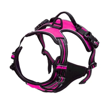 Dog Collars Harness Big Vests Leash Pet Shop Everything for Dogs Leather Puppy Accessories Medium Small Set Brinira