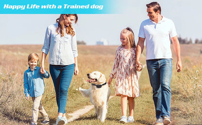 800m Digital Dog Training Collar Waterproof Rechargeable Remote Control Pet with LCD Display for All Size Shock Vibration Sound Brinira