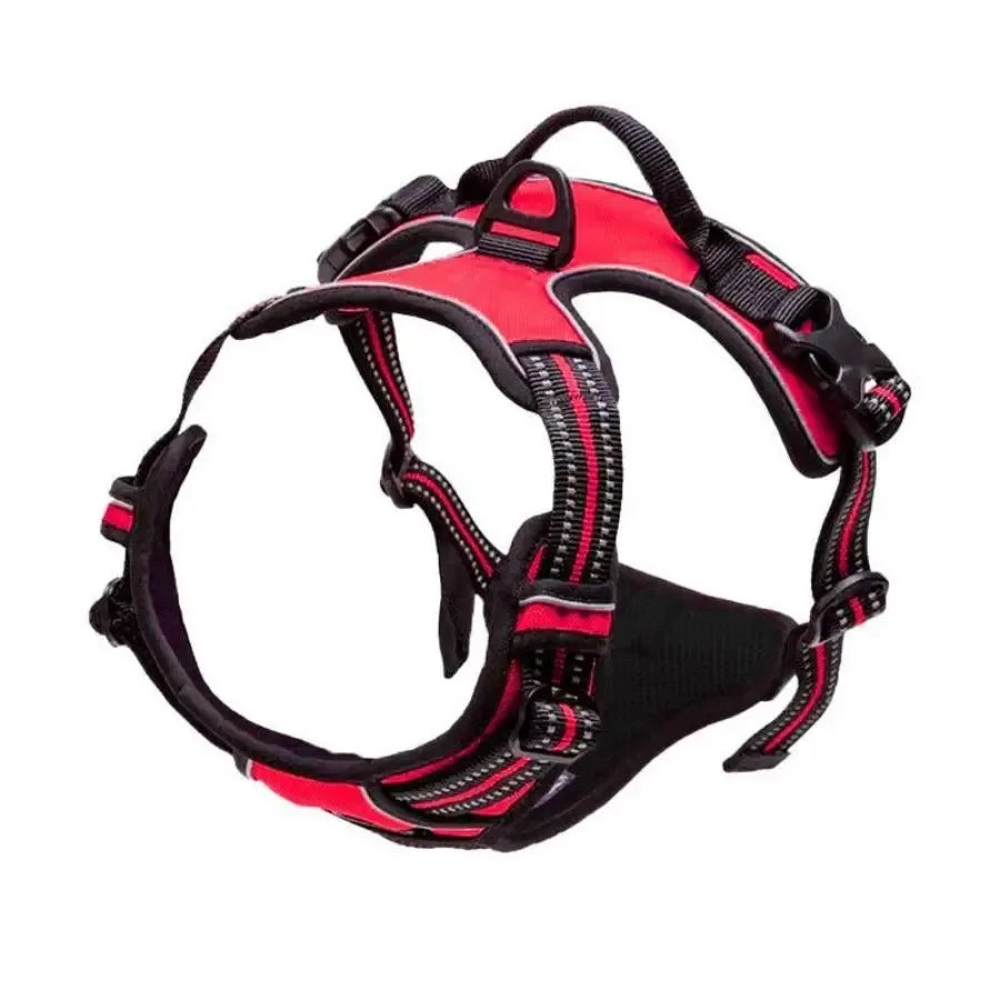 Dog Collars Harness Big Vests Leash Pet Shop Everything for Dogs Leather Puppy Accessories Medium Small Set Brinira