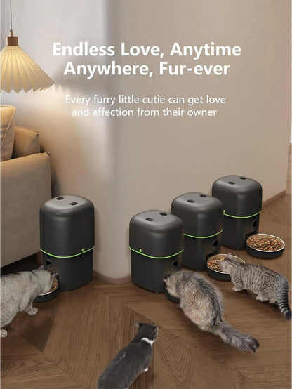 Automatic Cat Feeder Camera Pet Smart Cat Food Kibble Dispenser 2.4G/5GWiFi Tuya APP Control Auto Feeder For Cat Dog Accessories Brinira