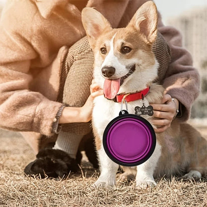 Portable Pet Food Bowl  Durable TPR Bowl  Cat and Dog Food Pet Silicone Collapsible Bowl Portable Travel Outdoor Water Food Bowl Brinira