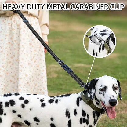 Reflective Shock Absorbing Pet Leashes with Car Seatbelt for Large Dogs Heavy Duty Tactical Bungee Dog Leash No Pull Dog Leash Brinira