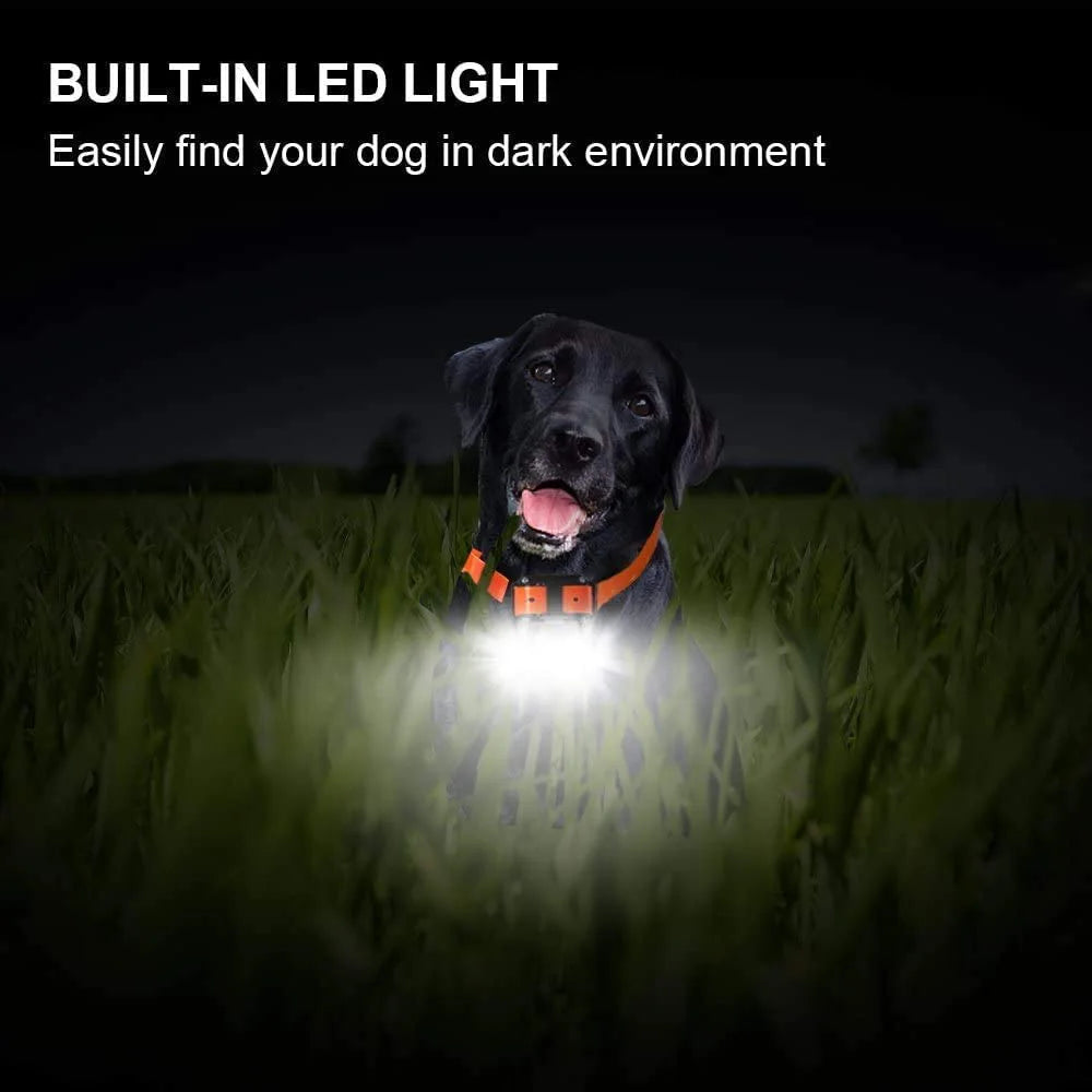 800m Digital Dog Training Collar Waterproof Rechargeable Remote Control Pet with LCD Display for All Size Shock Vibration Sound Brinira