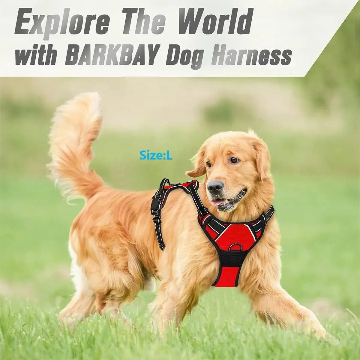 Dog Collars Harness Big Vests Leash Pet Shop Everything for Dogs Leather Puppy Accessories Medium Small Set Brinira