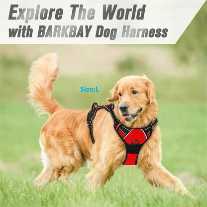 Dog Collars Harness Big Vests Leash Pet Shop Everything for Dogs Leather Puppy Accessories Medium Small Set Brinira