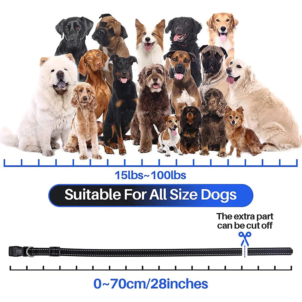 800m Digital Dog Training Collar Waterproof Rechargeable Remote Control Pet with LCD Display for All Size Shock Vibration Sound Brinira