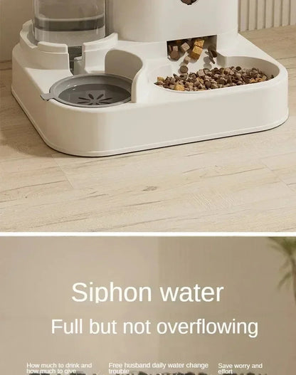 Automatic Feeder Dog Cat Food Bowl With Water Fountain Large Capacity Pet Food Storage Dispenser Container Puppy Pet Accessories Brinira