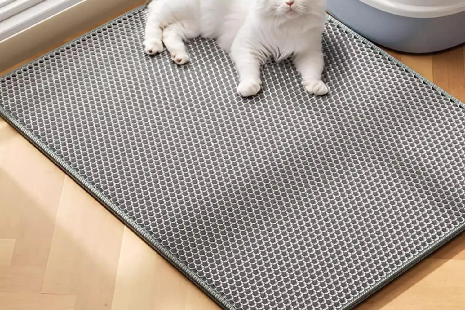 Extra Large Cat Litter Mat Heavy Duty Waterproof 2 Layer Non Slip Washable Pet Floor Protector Litter Box Sand Stopper Brinira