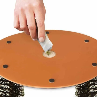 Cat Toy Arch Self Groome Pamper Feline with A Massage Grooming Rubbing Brush with Scratching Pad Toy for Cats Interactive Toys Brinira
