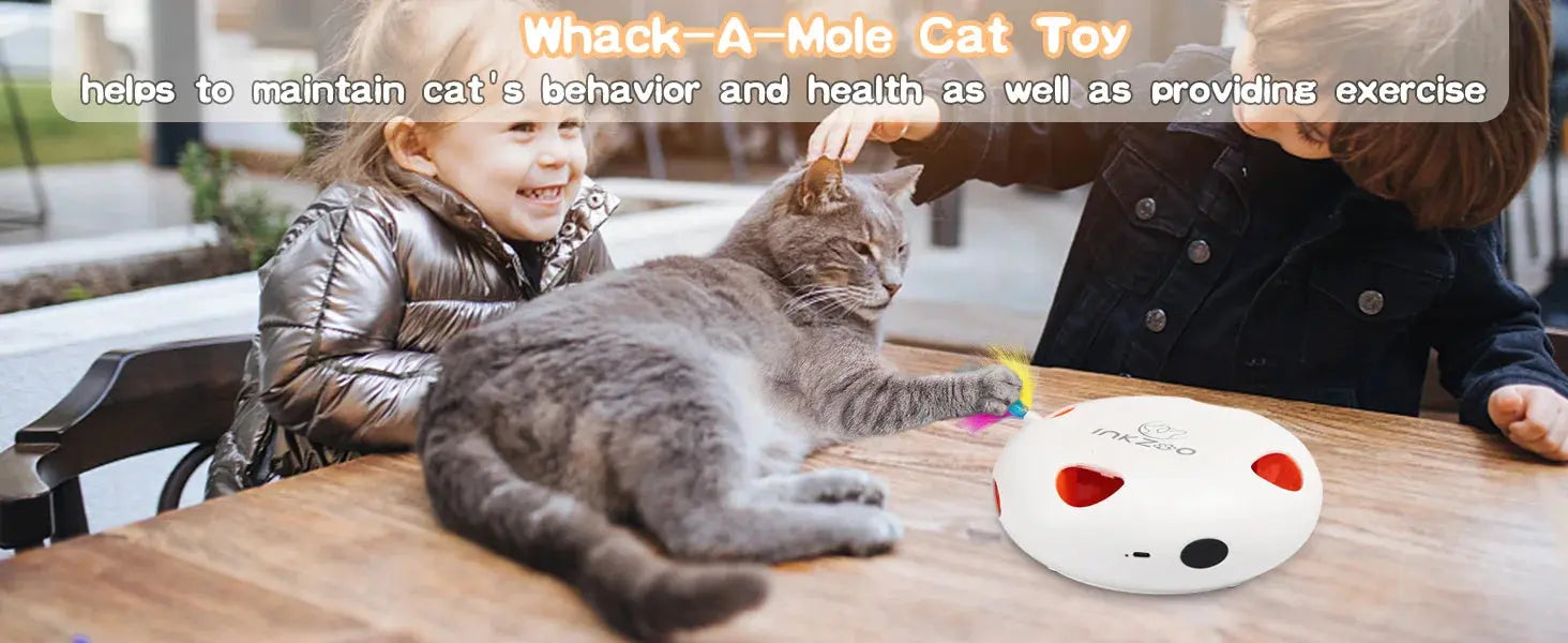 INKZOO Cat Toys, Interactive Cat Toys for Indoor Cats,  Smart Interactive Kitten Toy, Automatic 7 Holes Mice Whack-A-Mole Brinira