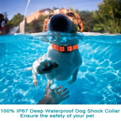 800m Digital Dog Training Collar Waterproof Rechargeable Remote Control Pet with LCD Display for All Size Shock Vibration Sound Brinira