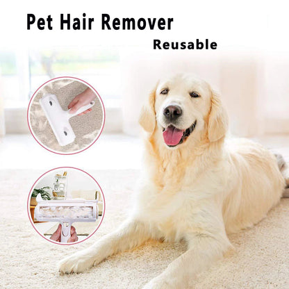 Cat Dog Hair Remover for Couch Furniture Carpet Car Seat Reusable Roller Pet Fur Removal Tool Brinira