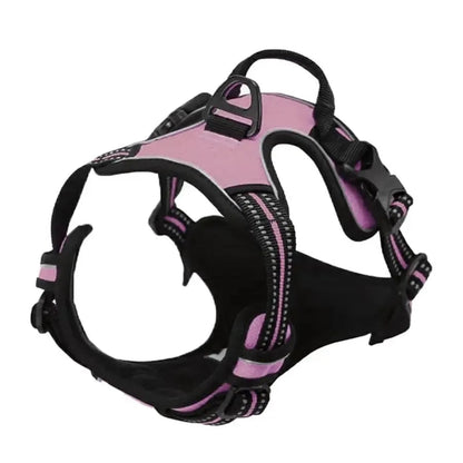 Dog Collars Harness Big Vests Leash Pet Shop Everything for Dogs Leather Puppy Accessories Medium Small Set Brinira