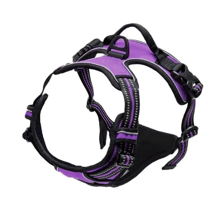 Dog Collars Harness Big Vests Leash Pet Shop Everything for Dogs Leather Puppy Accessories Medium Small Set Brinira