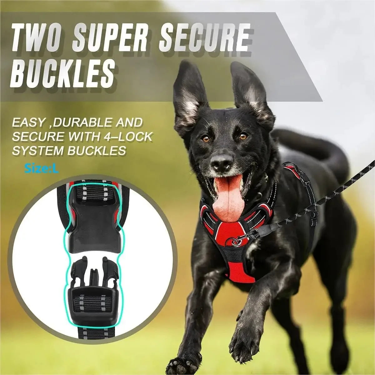Dog Collars Harness Big Vests Leash Pet Shop Everything for Dogs Leather Puppy Accessories Medium Small Set Brinira