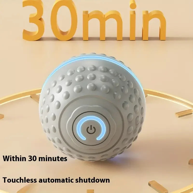 Smart Dog Toy Ball Automatic Interactive Pet Electronic Rolling USB Rechargeable Moving Bouncing for Puppy to Large dog Chew Toy Brinira