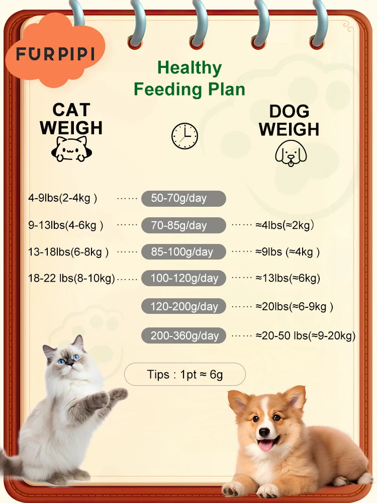 Automatic Cat Feeder Camera Pet Smart Cat Food Kibble Dispenser 2.4G/5GWiFi Tuya APP Control Auto Feeder For Cat Dog Accessories Brinira