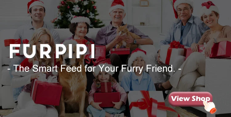Automatic Cat Feeder Camera Pet Smart Cat Food Kibble Dispenser 2.4G/5GWiFi Tuya APP Control Auto Feeder For Cat Dog Accessories Brinira