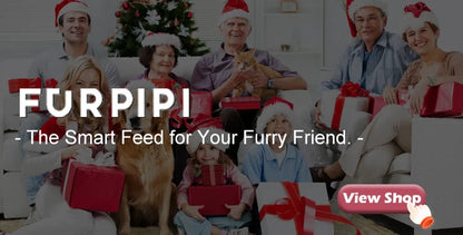 Automatic Cat Feeder Camera Pet Smart Cat Food Kibble Dispenser 2.4G/5GWiFi Tuya APP Control Auto Feeder For Cat Dog Accessories Brinira