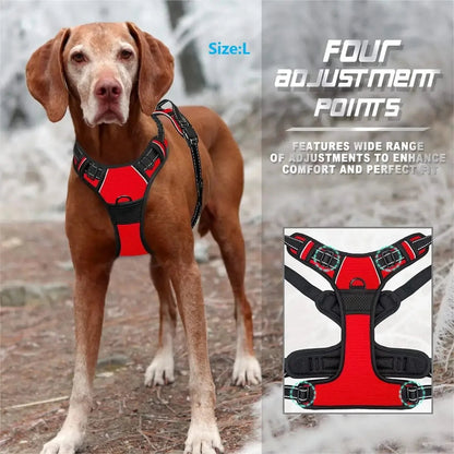 Dog Collars Harness Big Vests Leash Pet Shop Everything for Dogs Leather Puppy Accessories Medium Small Set Brinira