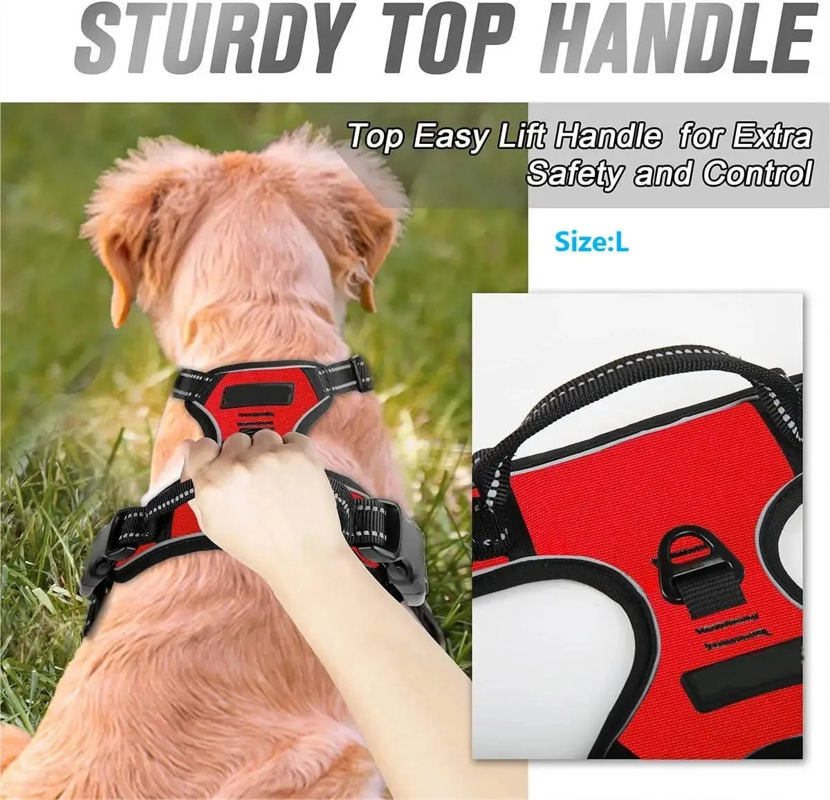Dog Collars Harness Big Vests Leash Pet Shop Everything for Dogs Leather Puppy Accessories Medium Small Set Brinira