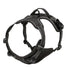 Dog Collars Harness Big Vests Leash Pet Shop Everything for Dogs Leather Puppy Accessories Medium Small Set Brinira